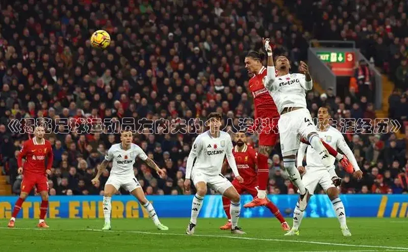 333体育官网下载路畅科技《揭秘足球运动员左内夫的个人资料和职业生涯经历》
