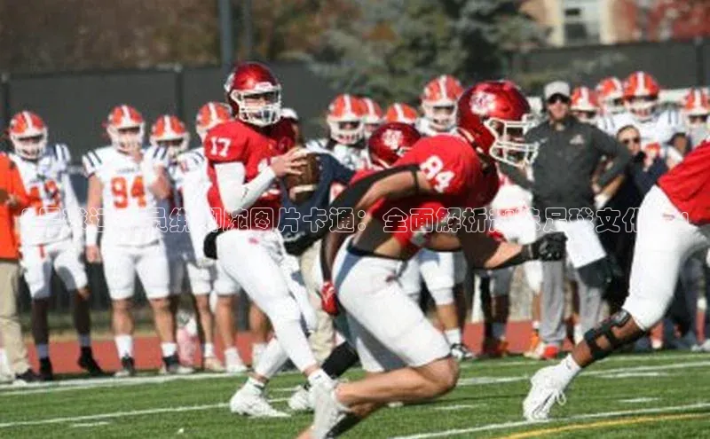 333体育平台app百度搜索资源平台「足球运动员绑脚腕图片卡通：全面解析趣味足球文化！」