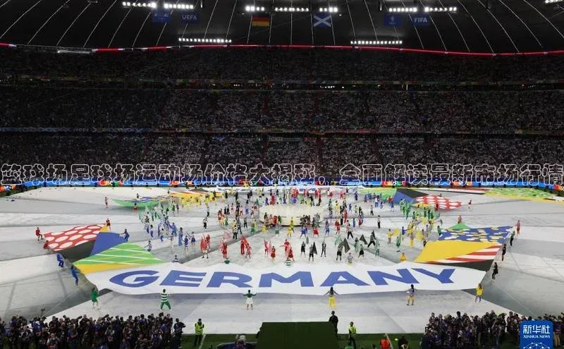 333体育ARGA公司篮球场足球场运动场价格大揭秘，全面解读最新市场行情