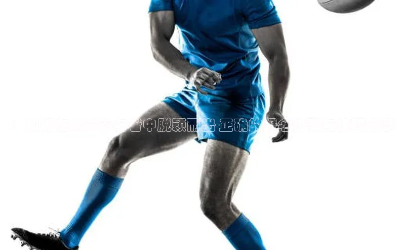 333体育平台App下载安卓手机下载猫眼