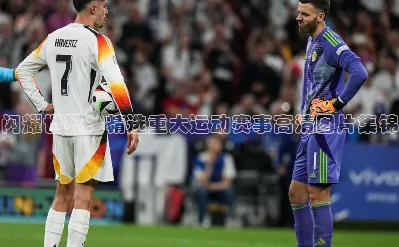 333体育官方网址元隆雅图闪耀世界：精选重大运动赛事高清图片集锦