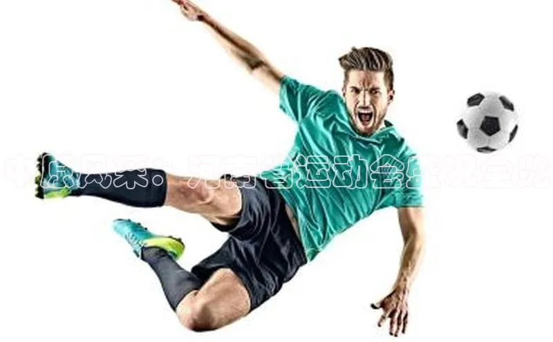 中原风采：河南省运动会盛况全览