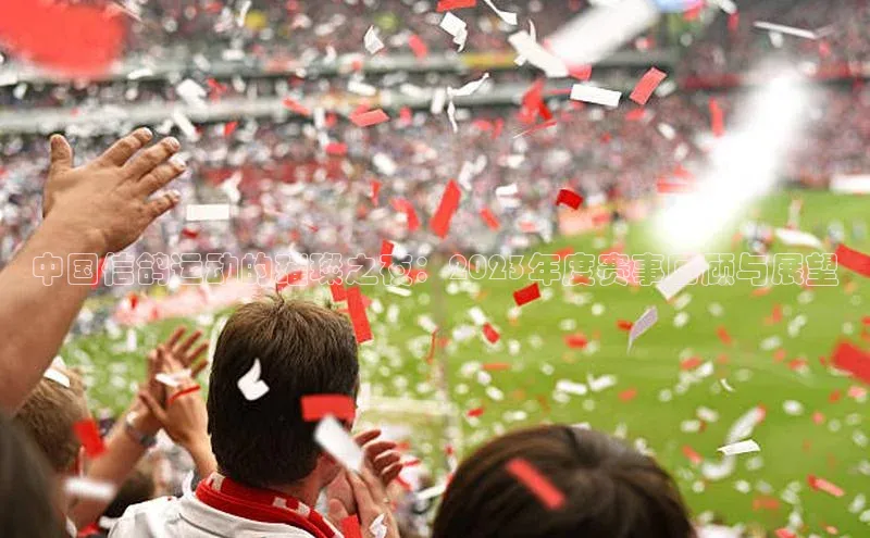 中国信鸽运动的璀璨之夜：2023年度赛事回顾与展望