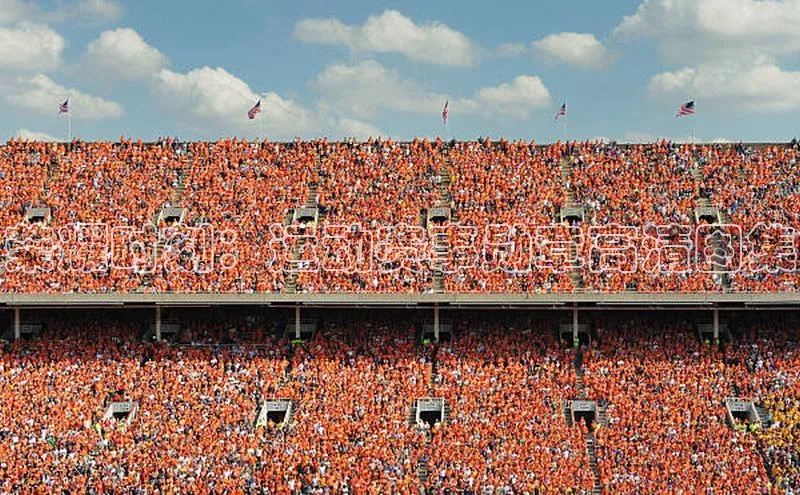 荣耀时刻：运动赛事勋章高清图集