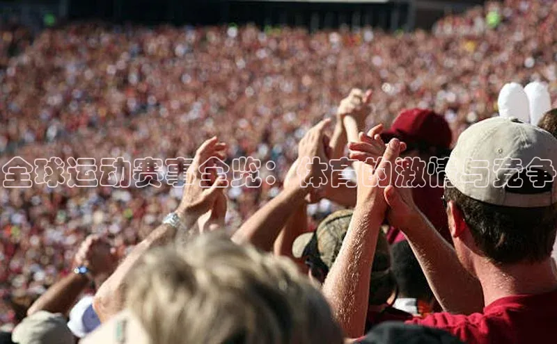 全球运动赛事全览：体育的激情与竞争