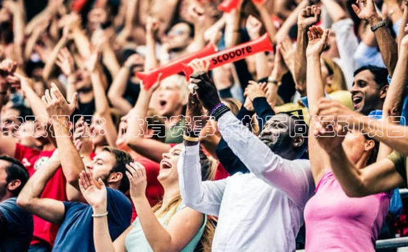 突破极限：体育赛事中的不同运动项目