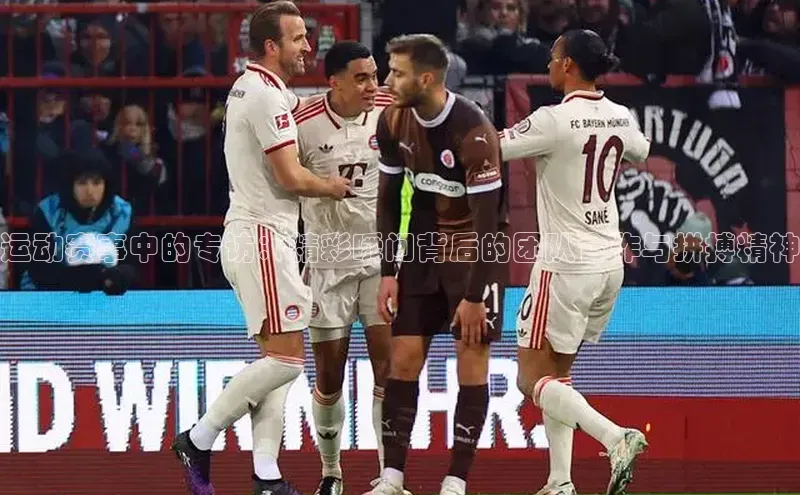 运动赛事中的专访：精彩瞬间背后的团队合作与拼搏精神