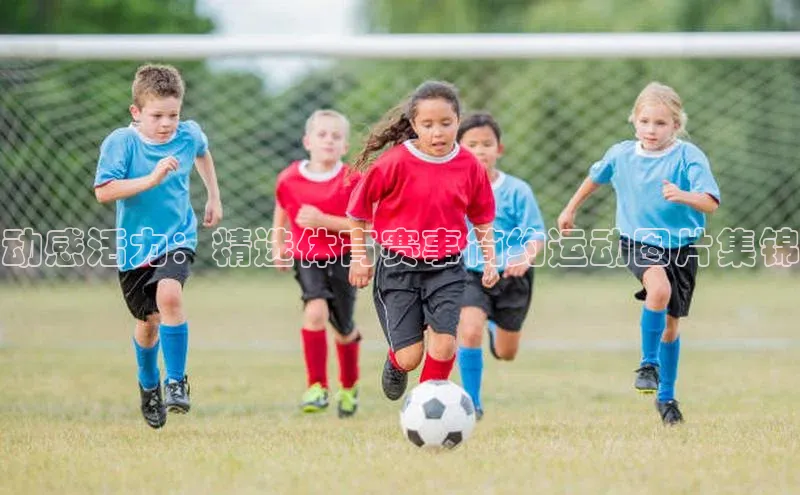 动感活力：精选体育赛事简约运动图片集锦