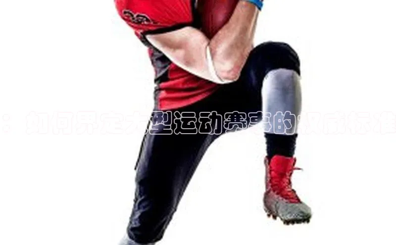 ：如何界定大型运动赛事的权威标准