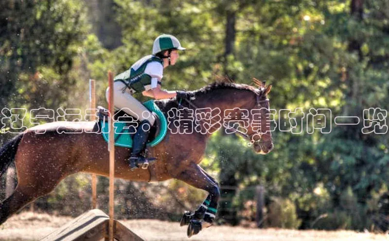 辽宁运动会：精彩赛事时间一览