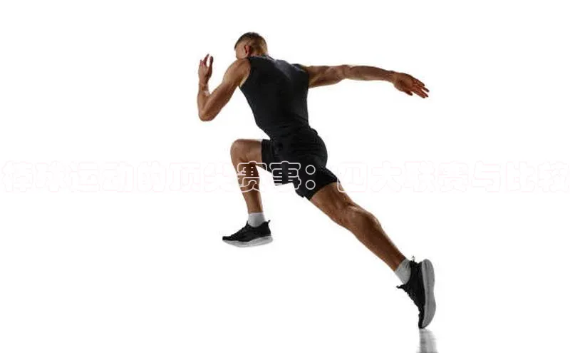 棒球运动的顶尖赛事：四大联赛与比较