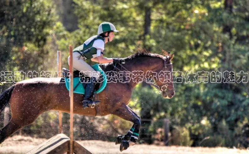 333体育app官方最新版本功能介绍