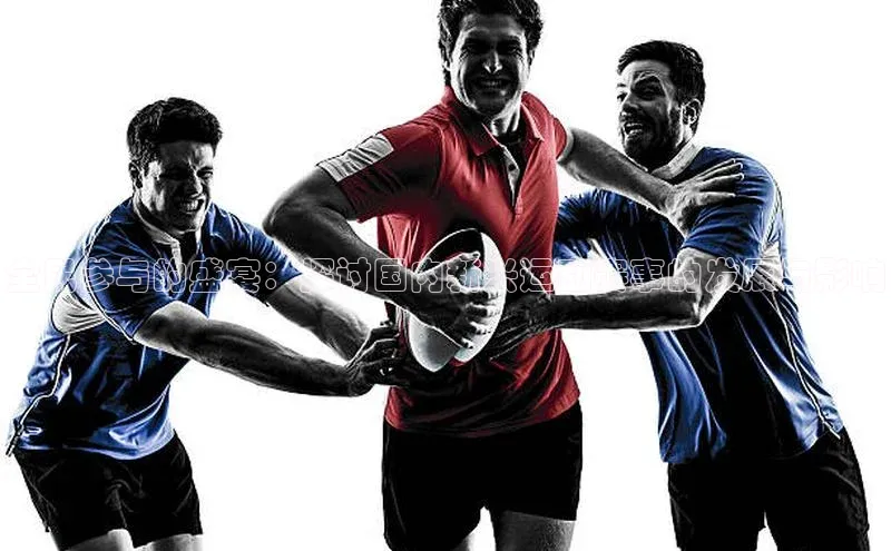 333体育平台App下载