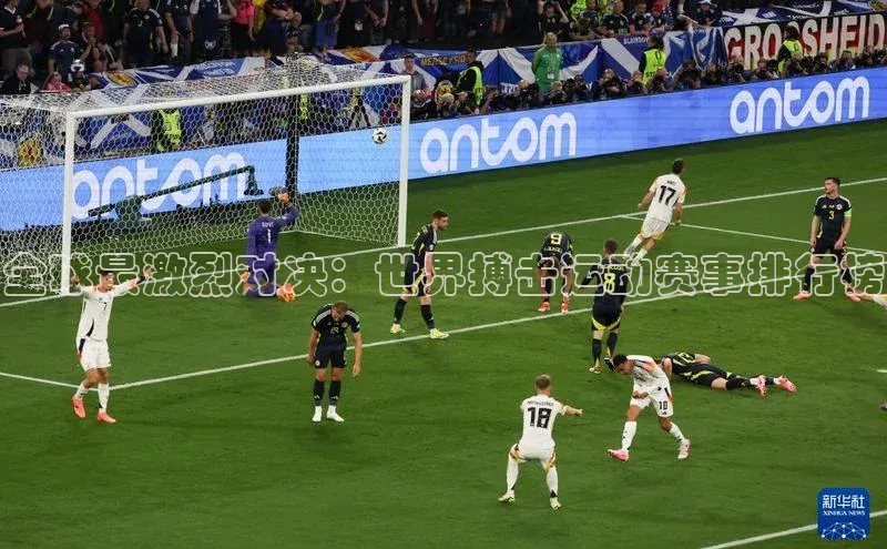 333体育平台网页版