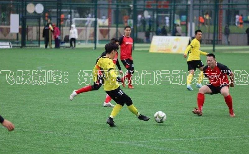 333体育赛事直播