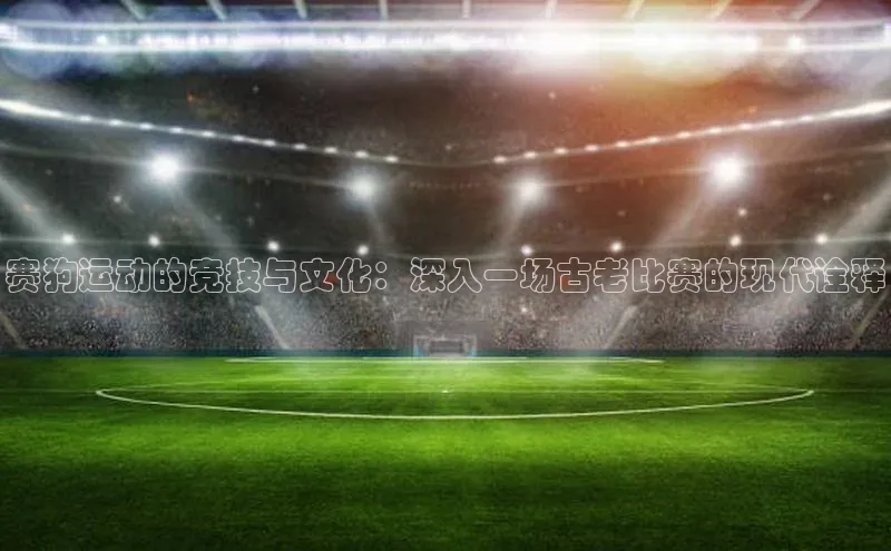 333体育平台官网