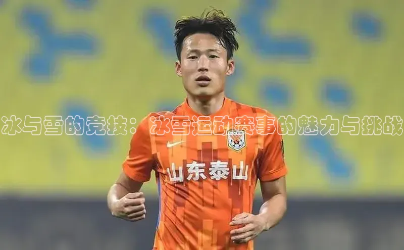 333体育app官方最新版本功能介绍