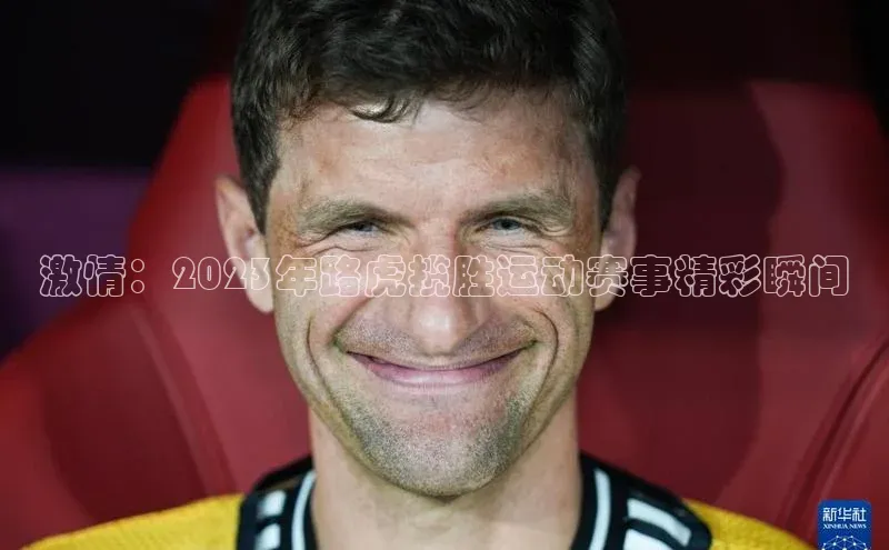 333体育平台网页下载