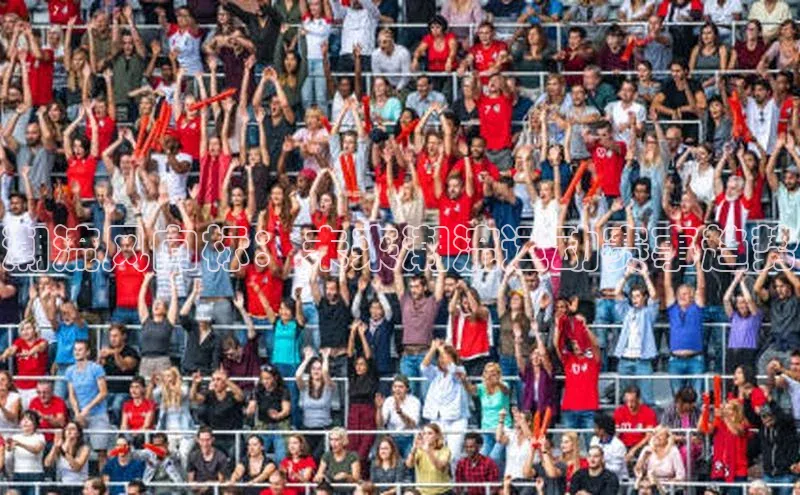 333体育官网app下载