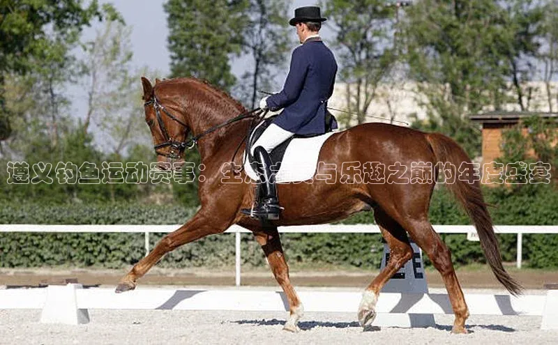 333体育平台网页版