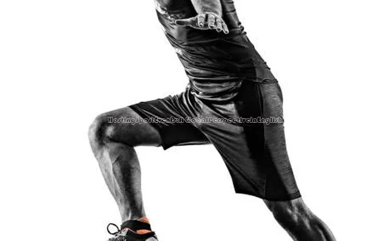 333体育官网下载