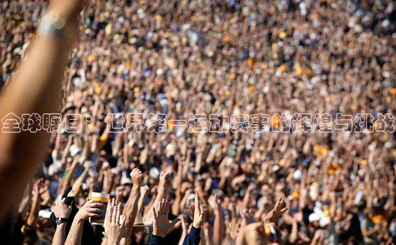 333体育官网下载