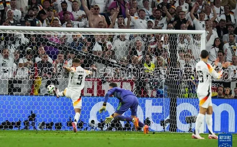 333体育手机版入口