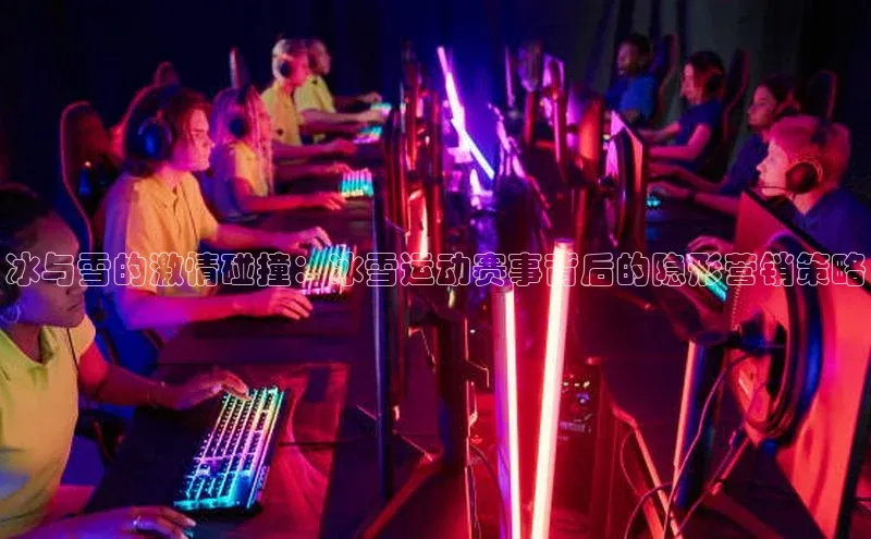 333体育官网入口