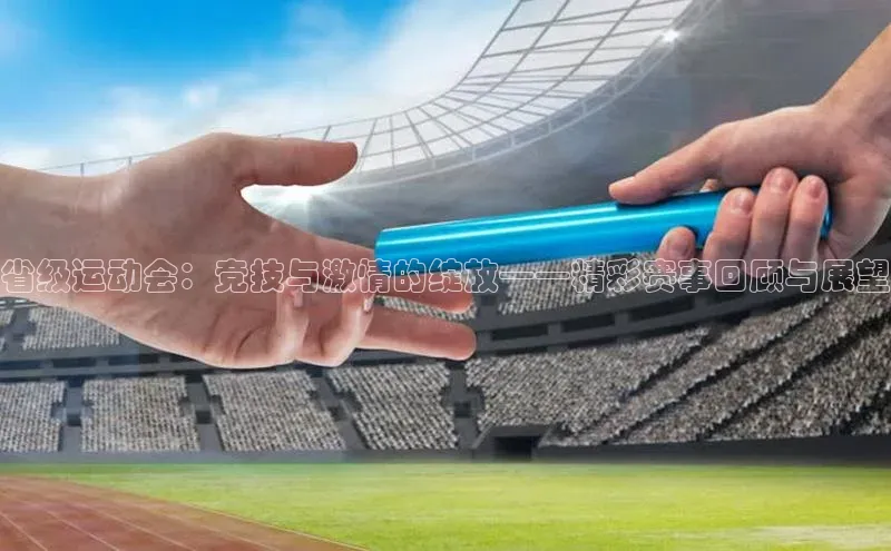 333体育赛事直播