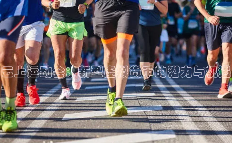 333体育手机版入口