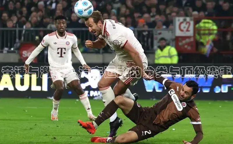 333体育官方网址